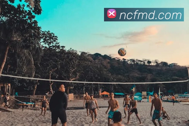 K1体育十年品牌值得信赖官网入口平台生态图